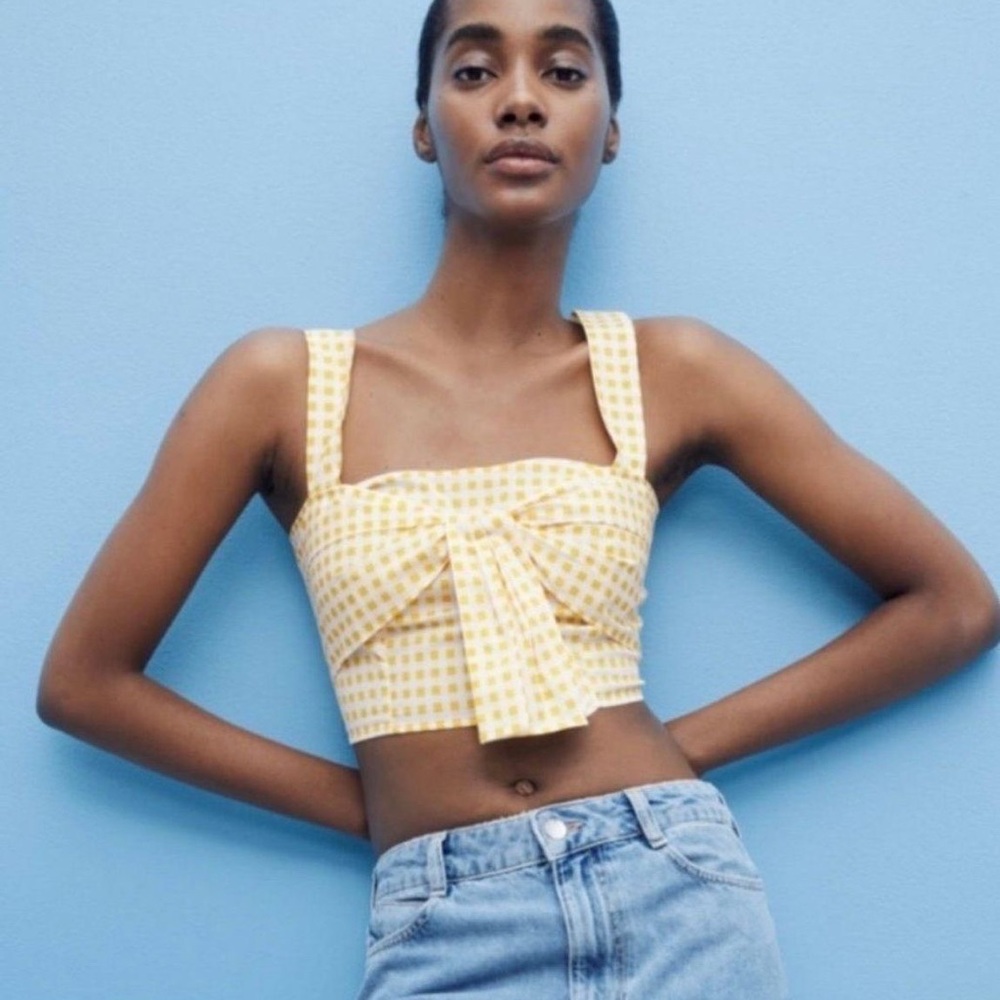 Zara Gingham Crop Top NWT